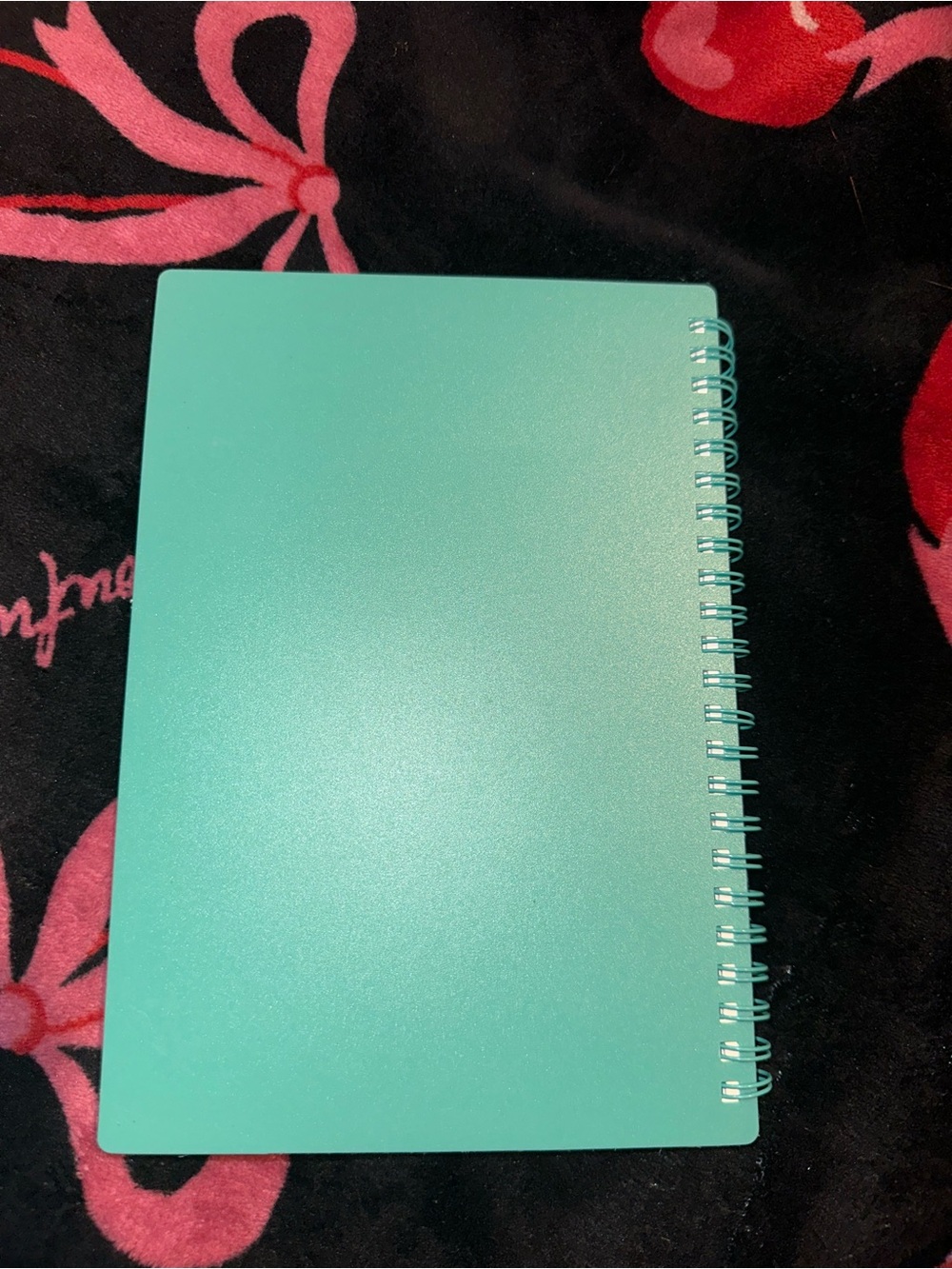 Spiral Notebook for Kids - Mint Green